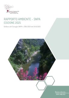 Rapporto ambiente SNPA
